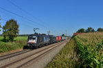 182 567 + 189 923 mit DGS 43101 am 08.09.2016 bei Hilperting.