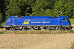 183 004 WRS (ex Alex) am 3.7.2026 bei Breitenfurt.