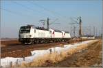 Der Siemens Vectron (BR 193) kam am 22.02.2012 in Mangolding mit zwei weiteren neuen Loks, 2x BR 183 daher. Sie waren warscheinlich unterwegs und machten ein paar Testfahrten auf unserer KBS 880. (Mangolding)