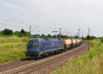 183 500 mit einem Knickkesselzug nach Schwedt am 07.08.2013 bei Plattling.