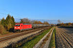 185 313 mit einem Kesselzug am 11.11.2018 bei Langenisarhofen.