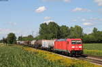 185 278-9 mit dem EZ 51943 (Offenburg Gbf-Basel Bad Rbf) bei Riegel 14.8.19