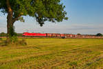 Zwei 185er von DB Cargo mit einem Kohlezug bei Heglau Richtung Ansbach, 23.08.2019