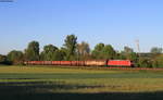 185 190-3 mit dem EZ 51771 (München Nrd Rbf-Mannheim Rbf) bei Helmsheim 7.5.20