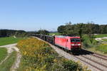 185 050 mit dem  Aicher-Stahlzug  am 9. September 2020 bei Grabenstätt auf dem Weg nach Hammerau.