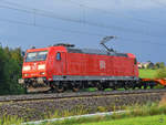 Eine  ausgeblichene  DB 185 151-8 zieht einem Containerzug, so gesehen Mitte August 2020 in der Nähe von Fuchsreut.