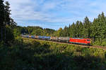 Der Herbst hat Einzug gehalten und die Schatten im Wald zwischen Grafing Bahnhof und Aßling sind schon entsprechend lang.