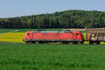 Lokportrait von 185 394 mit einem gemischten Güterzug bei Seubersdorf Richtung Nürnberg, 23.04.2020