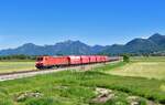 185 173 mit einem Güterzug am 01.06.2021 bei Bernau am Chiemsee.