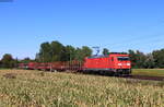 185 305-0 mit dem  EZ 44601 (Kehl-Basel SBB RB) bei Riegel 23.9.21