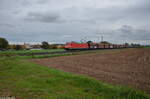 DB Cargo 185 385-2 hat einen Kohleleerzug am Haken als sie am 14.10.2022 in Richtung Gunzenhausen fährt.