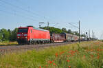 Mit einem gemischten Güterzug am Haken rollte am Morgen des 14.06.25 185 018 durch Braschwitz Richtung Halle(S).