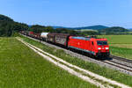 Klassische Züge des Einzelwagenverkehrs gehören in Deutschland leider zu einer aussterbenden Gattung. DB Cargo würde das Angebot am liebsten sofort einstellen, da es zu aufwändig und verlustbringend ist. Rein betriebswirtschaftlich betrachtet ist das nachvollziehbar. Über den Tellerrand hinaus geblickt natürlich nicht, werden doch zahlreiche LKW-Fahrten vermieden, welche die Straßen verstopfen und weniger umweltfreundlich sind. Auf der KBS 880 sind noch etliche gemischte Güterzüge zu beobachten, insbesondere im Verkehr von und nach Österreich. Rein innerdeutsch war am 13. Juni 2025 die 185 271 unterwegs. Sie bespannte den EZ 50819 von Nürnberg Rbf nach Plattling und konnte von mir kurz vor Parsberg in der Oberpfalz mit bunt gemischten Frachten fotografiert werden. 