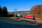 185 179 DB Cargo mit einem gemischten Güterzug bei Dollnstein Richtung Ingolstadt, 23.11.2021