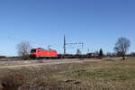 185 398 mit einem gemischten Güterzug aus Salzburg kommend am 25. Februar 2026 bei Übersee an Chiemsee.