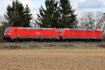 185 209 und 185 204. Da kann man sehen, es war die Coca Cola Lok vom Weihnachtszug. 16.3.26 bei Zorneding.