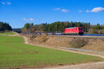 185 202 DB Cargo mit einem leeren Containerzug bei Parsberg Richtung Regensburg, 23.02.2022