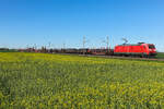 185 DB Cargo mit einem Langschienen Zug am 23.4.26 bei Niemberg.