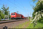 185 198-9 schl�ngelt sich mit Kali in den Hp Halle Rosengarten Richtung Sangerhausen.

🧰 DB Cargo
🕓 6.5.2025 | 16:15 Uhr