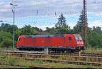 185 382-9 hat sich in den sonst nur von S-Bahnen bedienten Bahnhof Halle-Nietleben verirrt.
Aufgenommen vom Bahnsteig. Der Stromkasten in der Mitte lie� sich leider nicht vermeiden.

🧰 DB Cargo
🕓 22.7.2025 | 7:22 Uhr