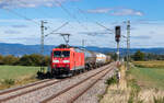 185 031 mit dem EZ 43282 (Offenburg Gbf - Mulhouse-Nord-Relais) bei Legelshurst 10.9.26
