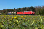 DB Cargo Doppel geführt von 185 040 mit einem leeren Erzzug am 26.09.26 bei Eglharting.