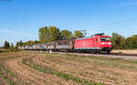 185 103 mit dem EZ 45013 (Mannheim Rbf - Chiasso SM) bei Riegel 23.9.26
