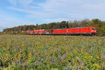 185 293 mit Schuttwägen bei Eglharting auf dem Weg nach Rosenheim am 15.10.2026. 