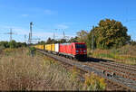 Wie immer gut in der Zeit: der DHL-Express von Frankfurt nach Gro�beeren, diesmal bespannt mit 185 218-5 und fotografiert in Gro�korbetha.

🧰 DB Cargo
🕓 23.9.2025 | 10:53 Uhr