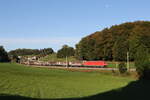 6185 259 mit einem gemischten G�terzug aus M�nchen kommend am 29. September 2026 bei Axdorf im Chiemgau.