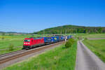 185 319 DB Cargo mit einem KLV-Zug bei Oberdachstetten Richtung Ansbach, 14.05.2022