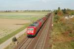 185 187-2 & 185 mit GZ, fahren zwischen Ludwigshafen-Rheingnheim und Limburgerhof Richtung Kaiserslautern. 30.09.2007