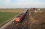 185 039-5 & 185 ziehen einen GZ zwischen Ludwigshafen-Rheingnheim und Limburgerhof Richtung Kaiserslautern. 10.02.2008