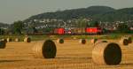 185 207 am Abend des 15. Juli 08 in Grosachsen-Heddesheim.