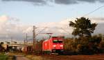 Am 17. Oktober 2008 befrdert 185 276 den FIR 51341 von Kln-Gremberg nach Kornwestheim Rbf zwischen den Ortschaften Waghusel und Wiesental in Richtung Graben-Neudorf.