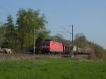 185 141-9 mit FZT 56179 Kornwestheim Rbf - Singen(Htw) kurz vor Singen-Landesgartenschau. 24.04.10