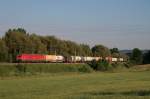 185 371-2 mit IKL 50510 Singen(Htw) - Rheinhausen nrdlich von Singen(Htw). 23.06.10