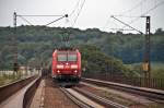 185 053 am 17.08.2010 bei der berquerung der Donau nahe Regensburg Mariaort.