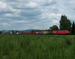 Eine 185 ist am 6.Juni 2011 mit einem langen Containerzug bei Halach unterwegs.