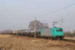 185 613 mit Kesselwagenzug bei Angermnde 28.02.2011