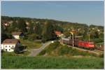 185 254 mit einem Gterzug ein paar Meter vor der Durchfahrt der Haltestelle Drrwien am 16.9.2011.