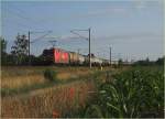 185 191 bei Doberlug-Kirchhain, 19.06.12