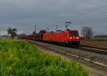 185 382 + 185 371 mit einem Erzzug nach Linz am 10.11.2012 unterwegs bei Langenisarhofen.