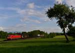 185 392 mit einem Güterzug am 19.05.2012 bei Hilperting.