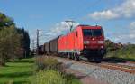 185 355 befrderte am 27.09.13 einen kurzen Gterzug durch Greppin Richtung Bitterfeld.