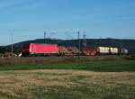 185 344 zieht am 29.September 2013 einen gemischten Güterzug bei Haßlach(B.