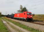 Die 185 260 mit einem Gterzug am 13.10.2012 unterwegs bei Ostermnchen.