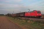 In der untergehenden Sonne des 31.10.2014 fuhr die Mannheimer 185 301-9 mit einem gemischten Güterzug bei Buggingen der Schweizer Grenze entgegen.