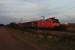 185 121-1 am späten Nachmittag des 31.10.2014 mit einem gemischten Güterzug südlich von Buggingen und fuhr gen Süden.