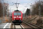 Aug' in Aug' mit der 185 074-2 DB als Gz, die den Hp Zscherben auf der Bahnstrecke Halle–Hann.